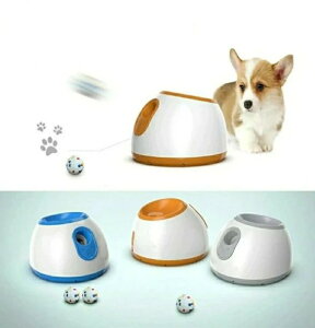 ybg {[`[ p{[ ejX{[`[   @ m炨 ^ ^p