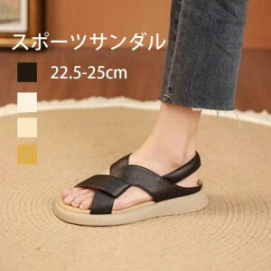 O RtH[gT_ fB[X X|[cT_ fB[XT_ i[XT_ fB[X O 