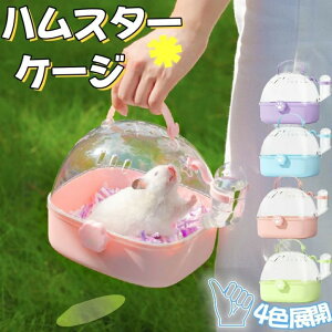 nX^[ P[W nX^[L[ o L[ L[ P[X  P[W nX^[pi O|[^uP[ s a@ ړ h |   h ybg v`