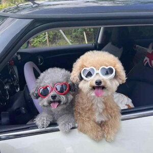   ybg ObY 킢   Kl TOX UVJbg h S[O ANZT[ n[g O΍ hCu AEghA