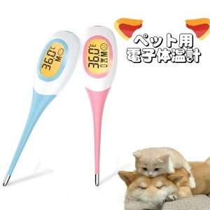 ybgp dq̉v fW^xv   L  ˂ ybgp [炩dlňS ₷ 8bXs[h ʑȒP h^Cv