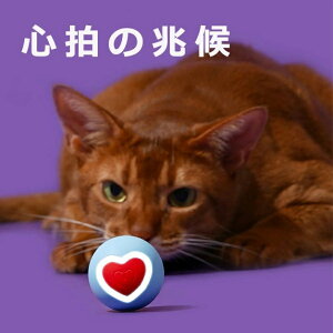 L L{[ Lpd LVѓ  ]  USB[d Ԃ XgX DS Lւ̃v[g bh u[ ȒP@ lVс@yb