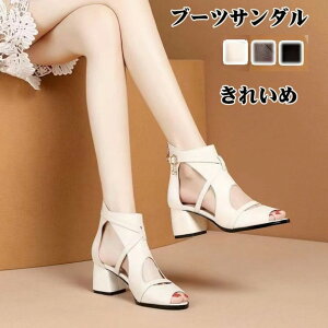 u[cT_ fB[X I[vgD u[cT_ T}[u[c 킢 `L[q[ T_t@bVT_ rl ėpu[c ʊw ʋ JWA T_ 