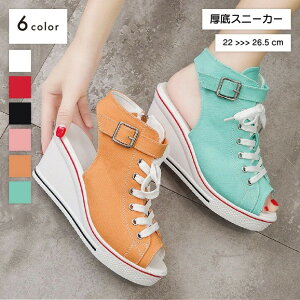 Xj[J[ q[Xj[J[  EFbW\[ fB[X wlp  T_ [XAbv I[vgD Xgbv xg ƂȂ  킢 JWA X|[eB[