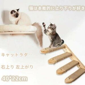 Lbg_[ ؐ  オ LbgEH[N L E胉_[ Lbg_[ ͂ Ǌ| LbgXy[X Lbv S  RpNg ȃXy[X L 