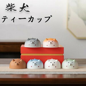 eB[Jbv Č  Jbv ƒp eB[Zbg eB[Jbv 킢 q eB[Jbv v[h Mtg Ղ