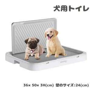 gC ^ bV g[Ch p g[jO g[ hbOg[ ybggC  O |N ǕtgC (zCg)