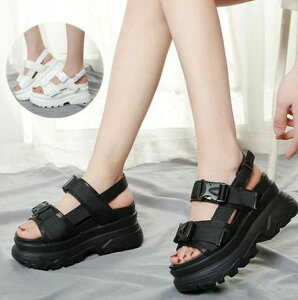 X|[cT_  fB[X T_ 7cm RtH[g T_ r[`T_  h y fB[X C C xN Xj[J[ X|[c C C ₷ AEg