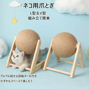 LSAؐ̔LpSAETM̒ܖALpNC~O^[