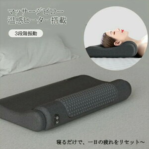 パック機 シーラー 乾湿対応 多機能 乾燥物 汁気物 手動脱気 停止 シールのみ シール 卓上シーラー シール 業務用 家庭用 調理 クリップシーラー フードシーラー 機