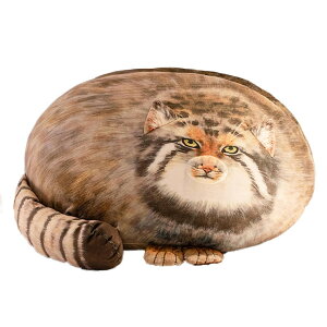 }klR ʂ  ʂ _炩  NbV  킢  3D 傫 A   YQ Ƃ낯悤ȔG n l` q LbY 蕨 \t