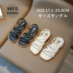 T_ ̎q j̎q LbYT_ qT_ xr[T_ q X|[cT_ xr[T_ j  y ɂ Snǂ  ItzCg 17.1cm`23cm