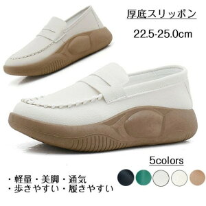  Xj[J[ Xb| ꃍ[t@[ O  y  r q[ 3.5cm fB[XXj[J[ JWAV[Y ₷ gAbv V[Y Ȃ 