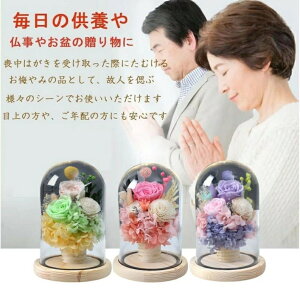  vU[uht[   ͂Ȃ   d 茳{  l\   d ~ V~ ~ ފ @ ybg KXh[ uU[ht