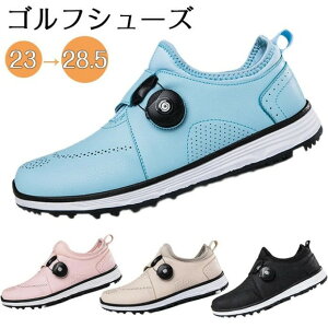 StV[Y fB[X XpCNX  _CA h h z[h X|[cV[Y tBbg \tgȗSn  fB[X St KC St