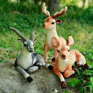 NbV  ӂӂ j̎q ̎q CeA  ʂ l` 킢 xr[ Ԃ q v[g  a Mtg NX}X 蕨 oYj jzWJ  