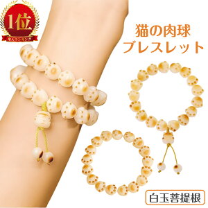 uXbg VR LbguXbg p[Xg[ uXbg L  L̑ fB[X Y  L̓ K^  IV v[g Mtg   W