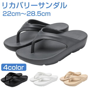 yz Jo[T_ fB[X Y X|[cT_ Xbp NT_ [T_  O x_ Jo[V[Y r[`T_ RtH[gT_