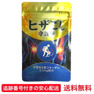 ヒザこし守護神 15粒 サプリメント グルコサミン コンドロイチン 非変性II型コラーゲン プロテオグリカン…