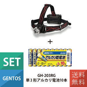 wbhCg RpNgCg [d GENTOS WFgX GH-203RG P3` AJdr 10{pbNt