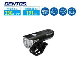 �}�E���e���o�C�N ���C�g �o�C�N���C�g USB �[�d�� LED GENTOS �W�F���g�X C�^�C�v AXS-05R