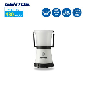 ^ d led dr GENTOS WFgX EX-236D