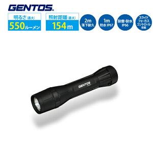 d nfBCg GENTOS GF-206RG WFgX