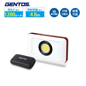 [NCg LED [d Ɠ  GENTOS GZ-316 WFgX
