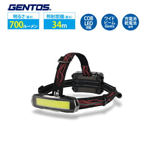 ヘッドライト 充電 乾電池 LED 可動 Type-C GH-280RG GENTOS ジェントス