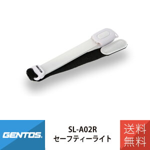 ] Cg Z[teB[Cg USB Type-C [d LED GENTOS WFgX [d SL-A02R