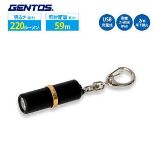 L[Cg USB[d ϐo h ϋv 邳 RpNg WFgX GENTOS Y1R