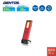 ワークライト USB Type-C 充電式 LED 背面マグネット付 フックスタンド GENTOS ジェントス GZ-133