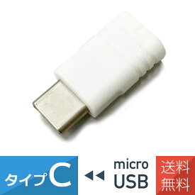 タイプC TYPE-C 変換アダプタ 3A