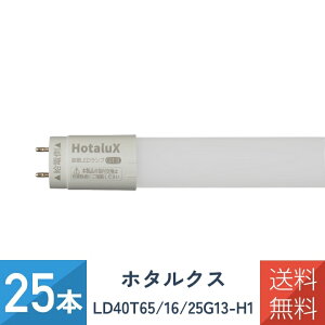 �y25�{�Z�b�g�z �z�^���N�X LD40T65/16/25G13-H1 ����LED�����v �����F �u���� FHF32���� �S����2,550lm 15.7W