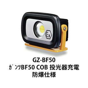[NCg LED [d Ɠ GENTOS GZ-BF50 WFgX