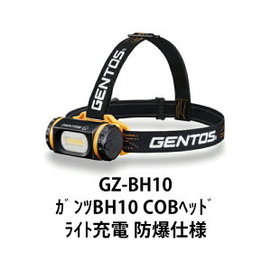 wbhCg [NCg Ɠ GZ-BH10 GENTOS WFgX