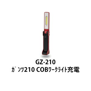 Ɠ LED [NCg ܂肽 USB[d }Olbg GZ-210 GENTOS WFgX