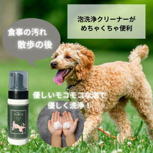 ybg  L A{fBN[i[ VR r߂ĂS MUQUA POOCH 玉 􂢗sv ƂɑI΂Ă܂IIzỦ H̉ A Cȃɂ g