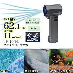  GA_X^[ ˕GUN u[ C[O TPG-PI-L p[d | |  ΂