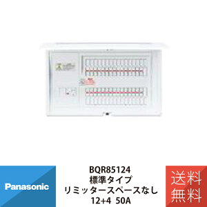 Panasonic �p�i�\�j�b�N�R�X���p�l���R���p�N�g21 �W���^�C�v ���d�� ���~�b�^�[�X�y�[�X�Ȃ� 12+4 50A BQR85124