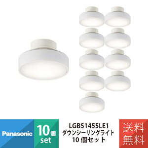 �p�i�\�j�b�N �V�[�����O���C�g �Ɩ� �Ɩ���� LED �V�[�����O���C�g �V�䒼�t�^ �d���F �g�U�^�C�v�E�V�[�����O���j���� LGB51455LE1