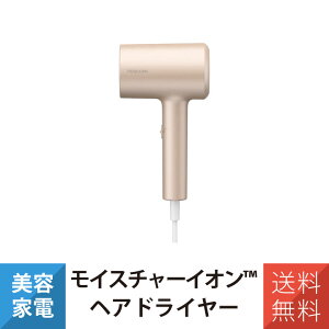 �e�X�R�� �h���C���[ ���C�X�`���[�C�I���@�w�A�h���C���[ TDX300A-N