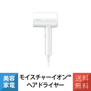 �e�X�R�� �h���C���[ ���C�X�`���[�C�I�� �w�A�h���C���[ TDX300A-W