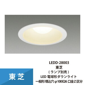 _ECg LED_ECg d`  dF E26 100 LEDD-28003