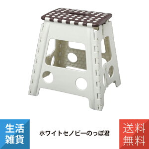  Xebv r ܂肽 ܂ ~ Ƒ ԑ Zmr[ 39cm V29cm ̂یN zCg