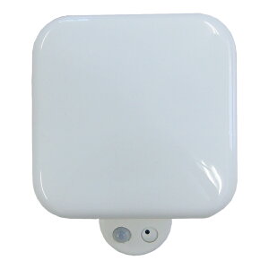 ZT[CgJ SDJ[h ^ dr  lZT[ zsv ȒP t SD500 [xbNX Revex