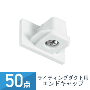 50_Zbg YAZAWA CeBO_Ngp GhLbv zCg ENDC01WH