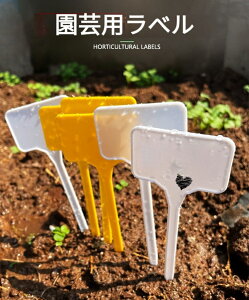 y100z |px vX`bN Ax 񂴂x 14.7×5.5cm A ~ ƒ؉ K[f _ K[fjO l[v[g