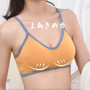 y3ZbgzuW[ iCgu V[Xu 100% CXu w z Z Cȏ̎q ̐F