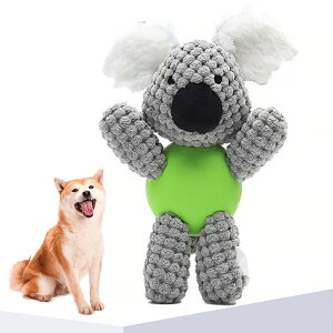 p ނ ̏o錢p ^ ^ ʂ   XgXU ^s @Ő􂦂  ybg 